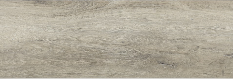 Dub skandinávský - Obrázek 2