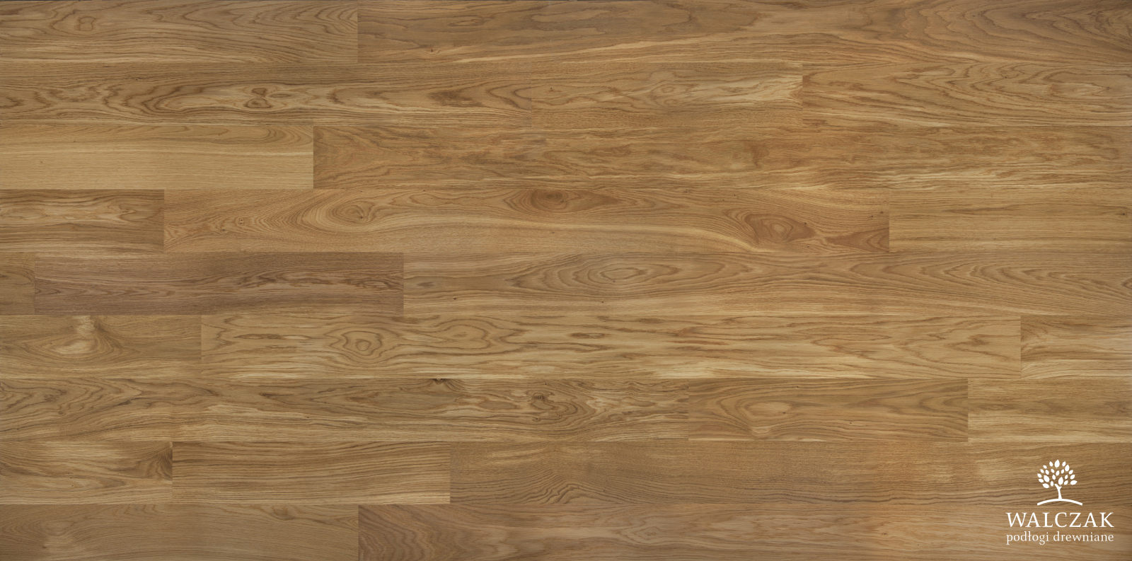 Dub 16mm Country s bělí