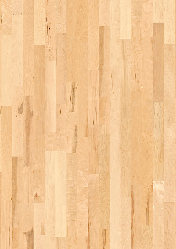 Javor kanadský parketa - Obrázek 2