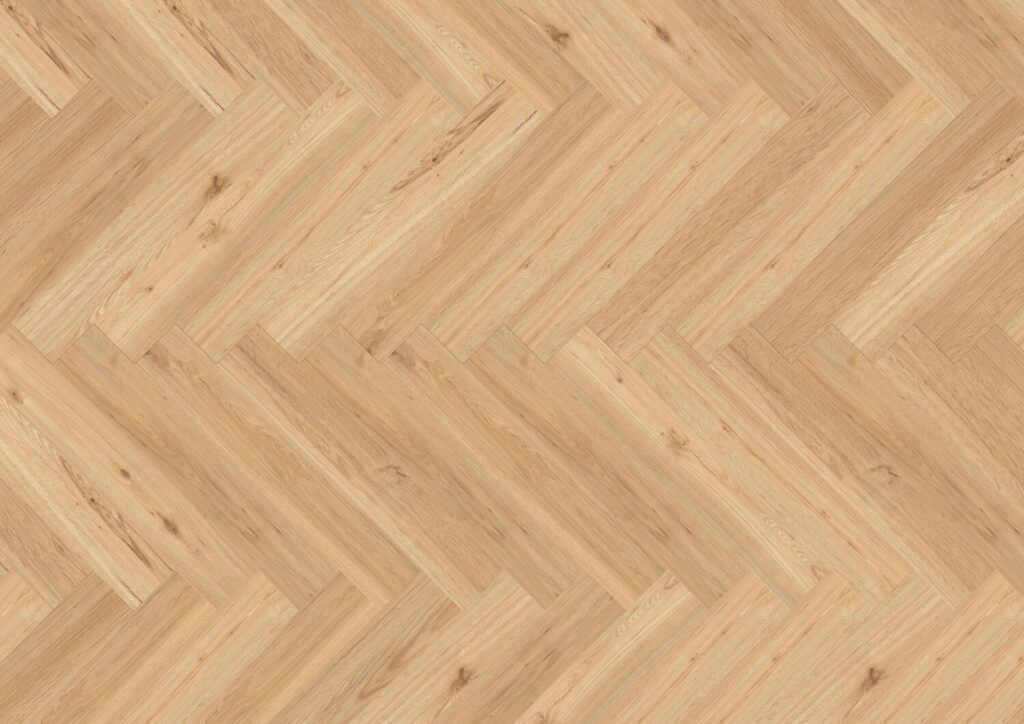 Ballerina 55 Acoustic - Obrázek 2