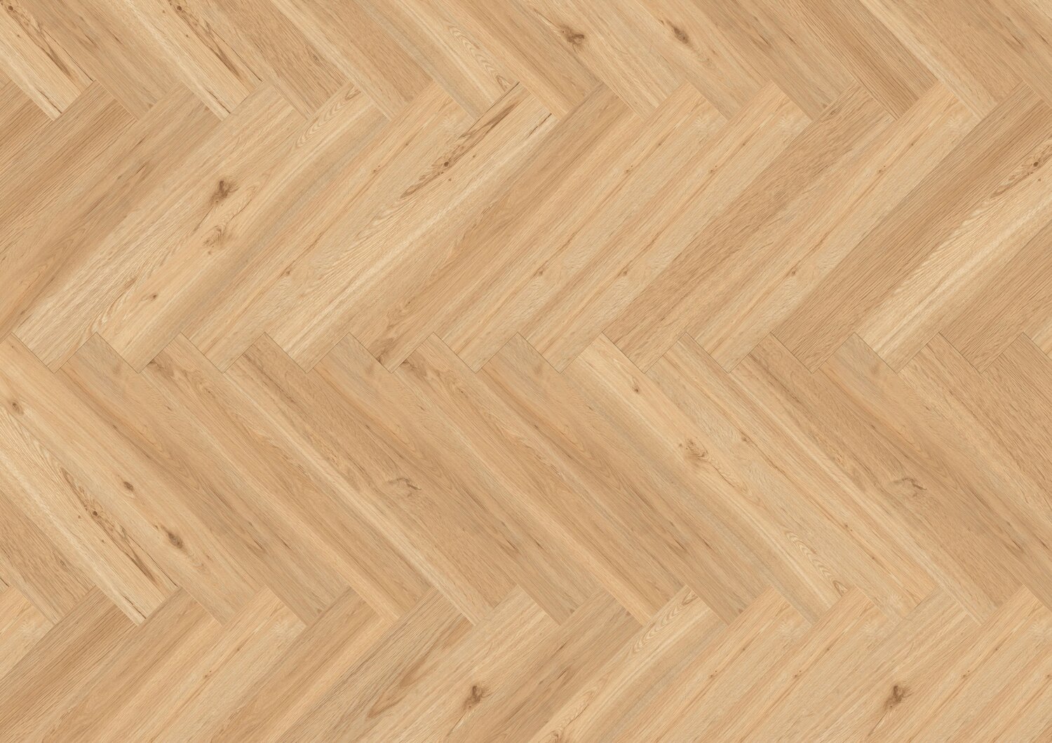 Ballerina 55 Acoustic