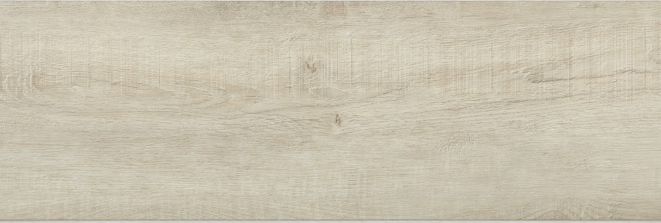 Dub písečný - Obrázek 2