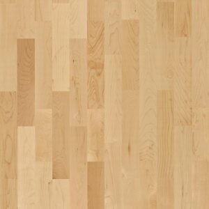 Javor kanadský Toronto